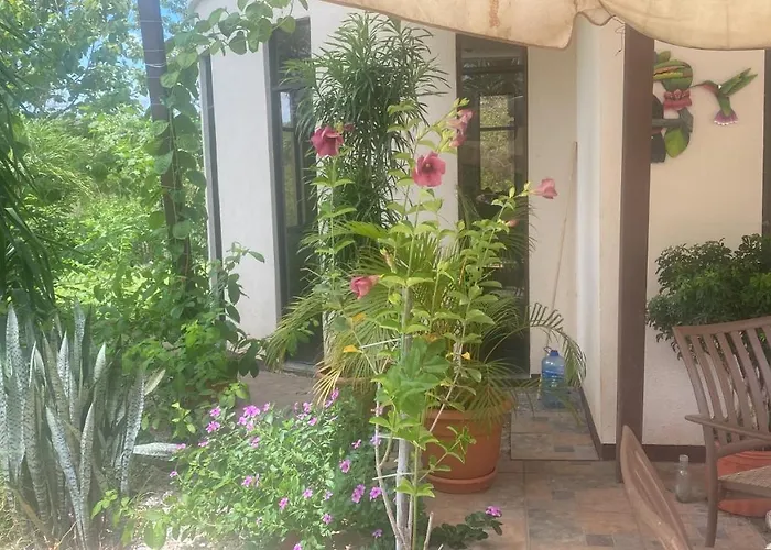 Pura Vida Habitación en casa particular Matapalo (Santa Cruz)
