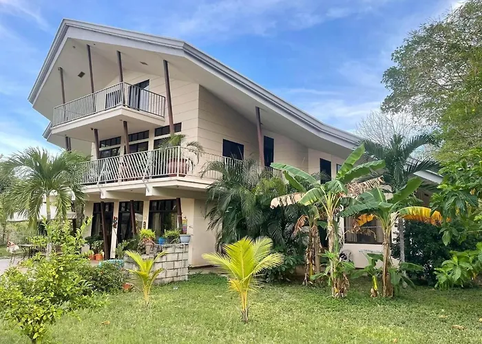 Pura Vida Matapalo (Santa Cruz)