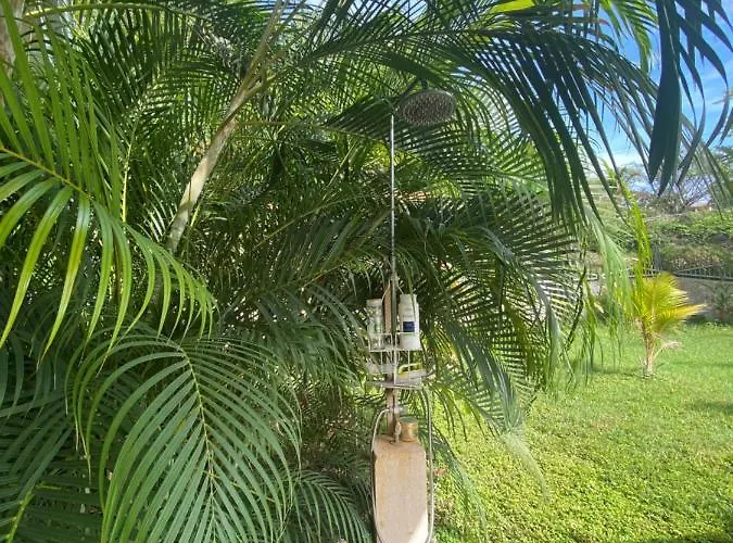 Pura Vida Habitación en casa particular