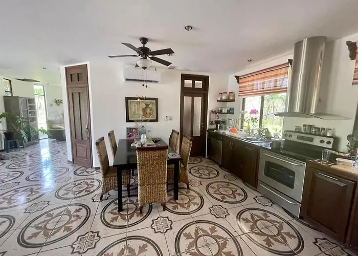 Pura Vida * Matapalo (Santa Cruz)