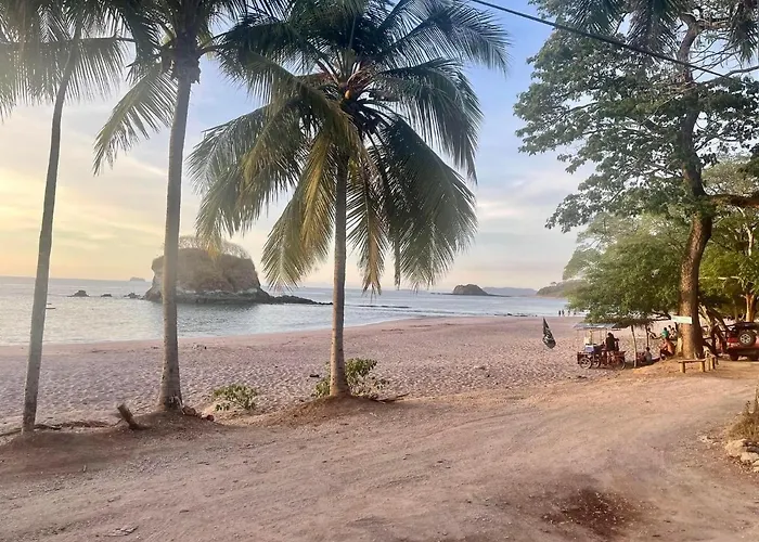 Pura Vida Matapalo (Santa Cruz)