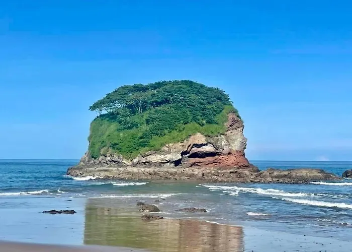 Pura Vida * Matapalo (Santa Cruz)