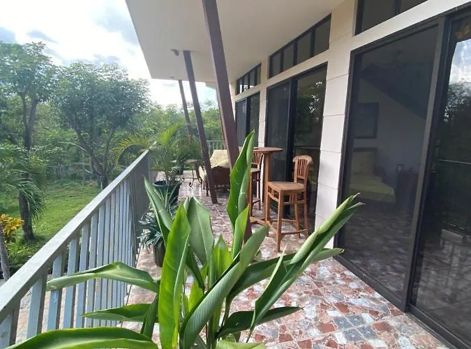 Pura Vida