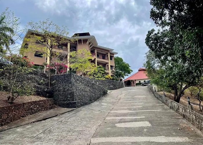 Pura Vida * Matapalo (Santa Cruz)