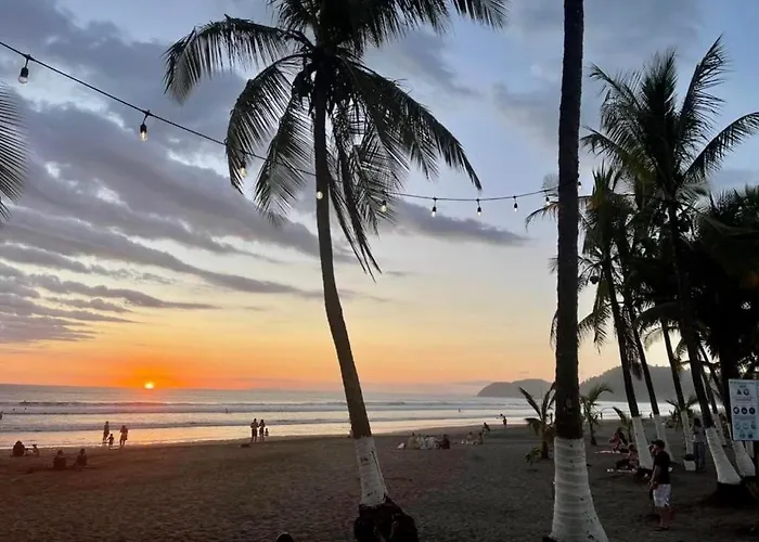Pura Vida Matapalo (Santa Cruz)