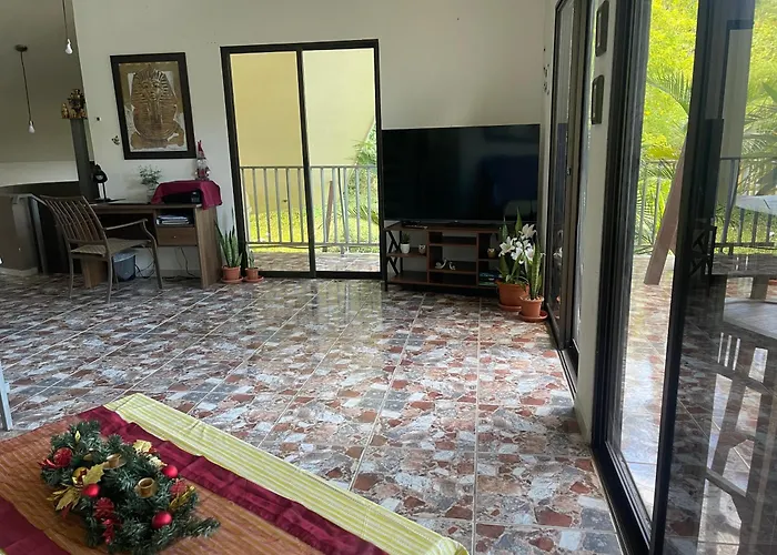 Pura Vida Matapalo (Santa Cruz)